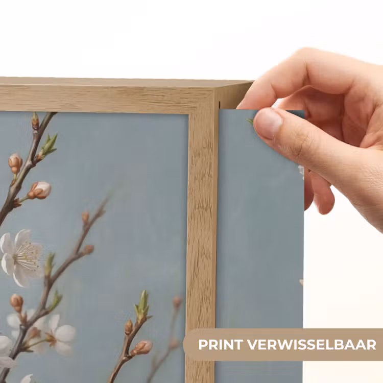 Lightbox - Wandlamp - Botanisch - Stilleven - Blauw — 5