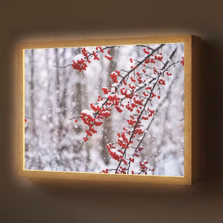 Lightbox - Wandlamp - Bessen - Takken - Sneeuw - Winter - Kleurrijk — 1