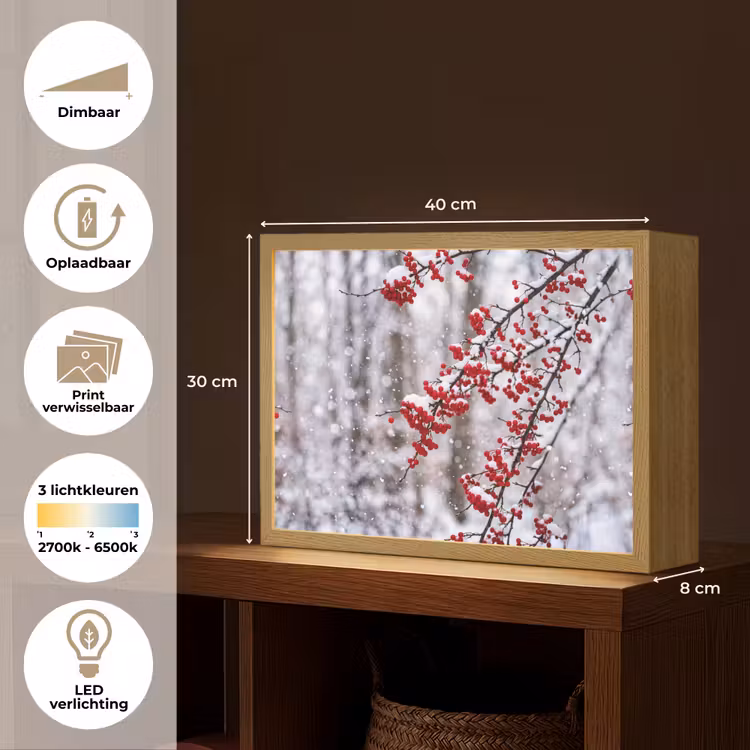 Lightbox - Wandlamp - Bessen - Takken - Sneeuw - Winter - Kleurrijk — 10