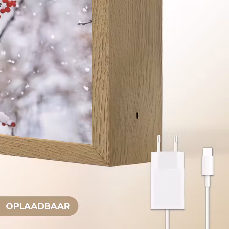 Lightbox - Wandlamp - Bessen - Takken - Sneeuw - Winter - Kleurrijk — 7