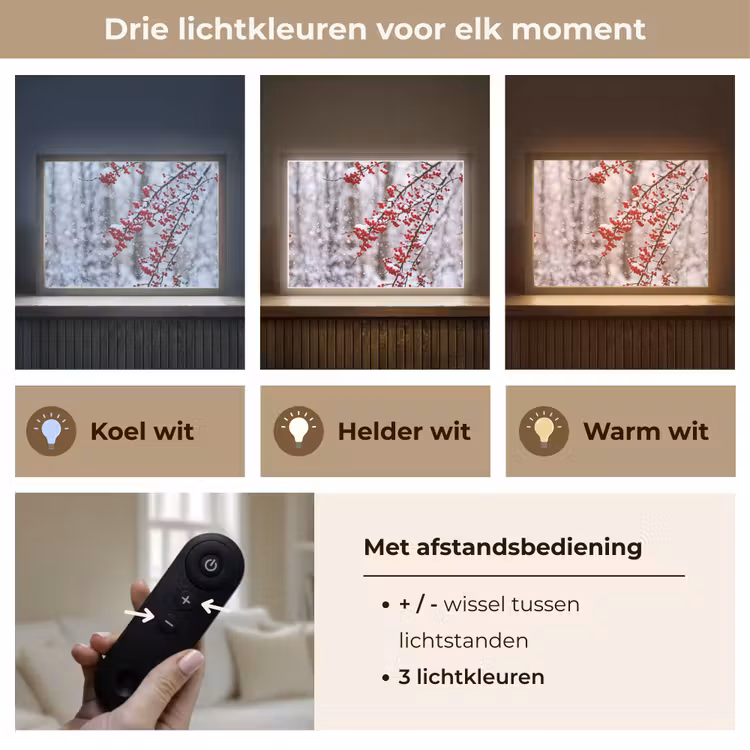 Lightbox - Wandlamp - Bessen - Takken - Sneeuw - Winter - Kleurrijk — 8