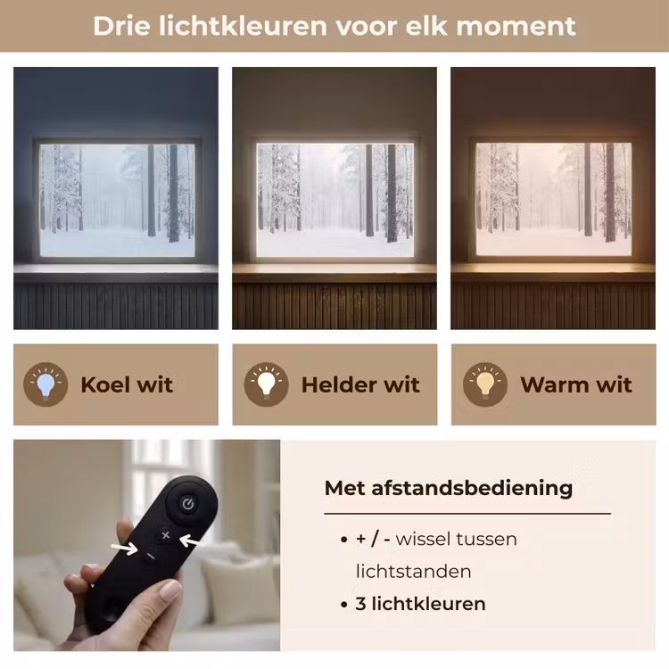 Lightbox - Wandlamp - Bos - Sneeuw - Pad - Winter - Stilte — 8