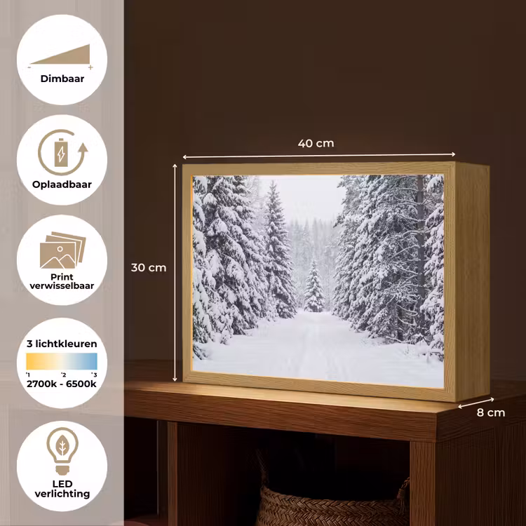Lightbox - Wandlamp - Bos - Winter - Sneeuw - Pad - Natuur — 10