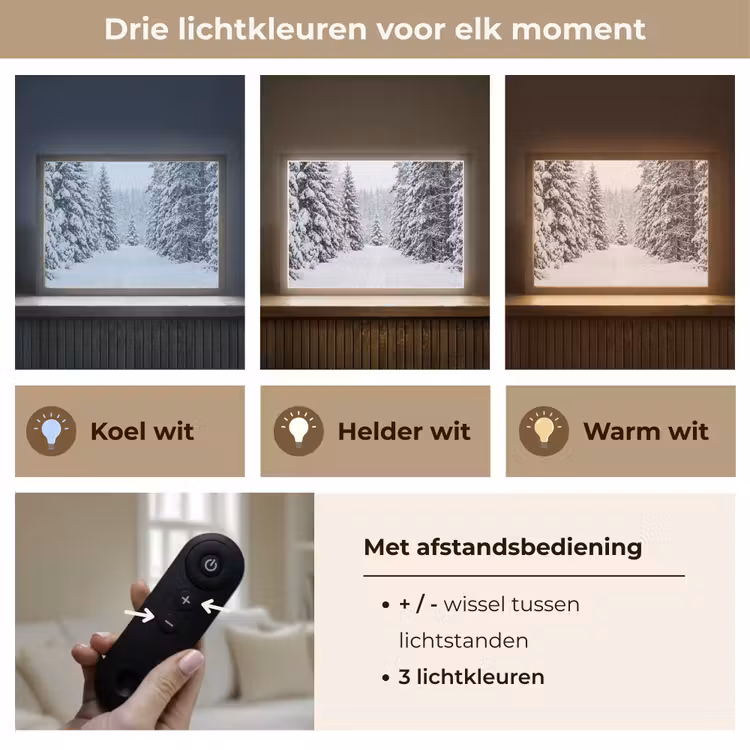 Lightbox - Wandlamp - Bos - Winter - Sneeuw - Pad - Natuur — 8