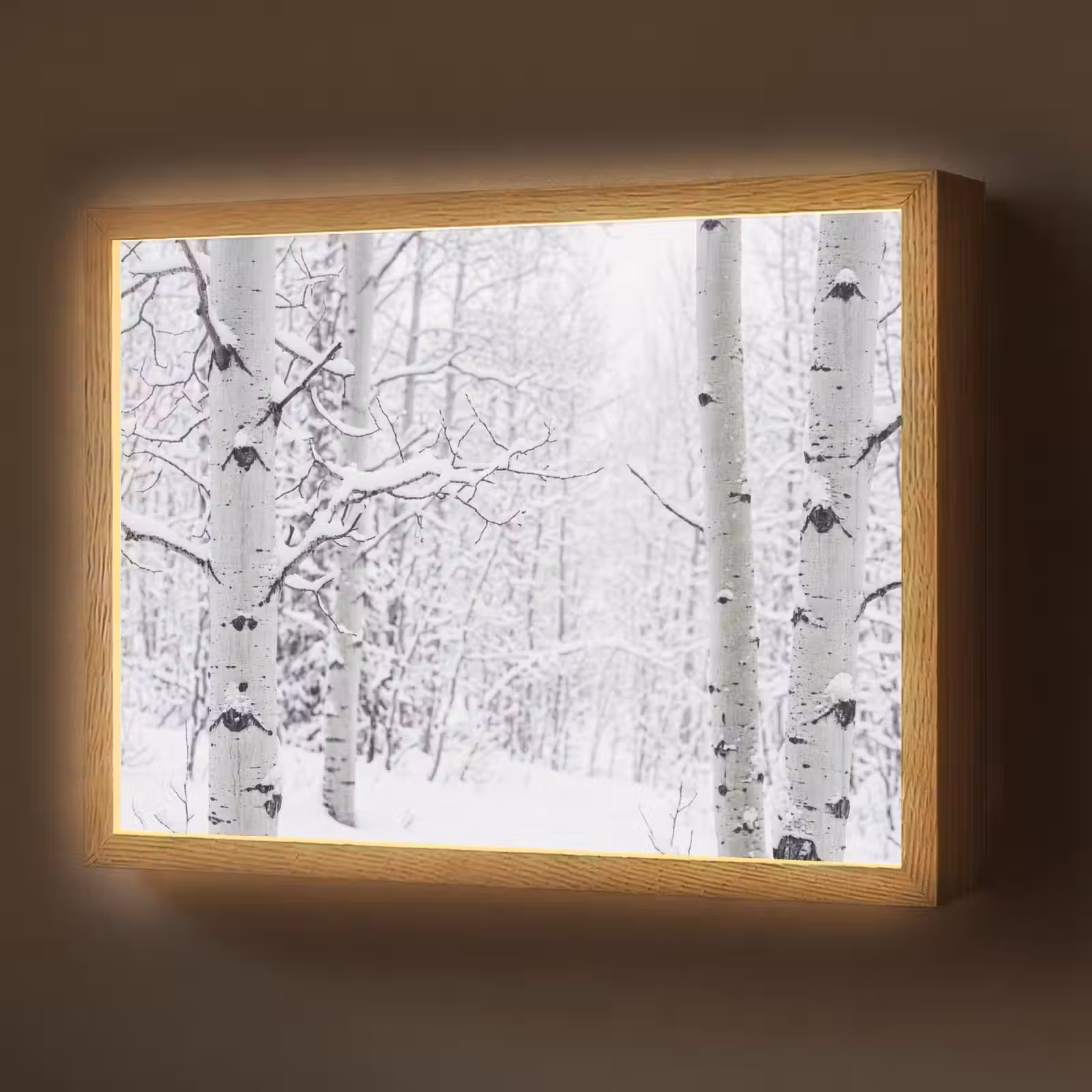 Lightbox - Wandlamp - Berkenbomen - Sneeuw - Winter - Bos - Wit — 1