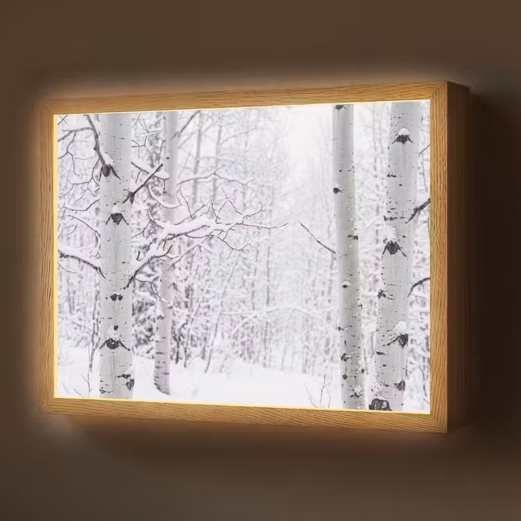 Lightbox - Wandlamp - Berkenbomen - Sneeuw - Winter - Bos - Wit — 1