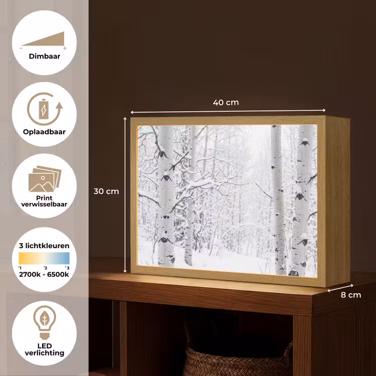 Lightbox - Wandlamp - Berkenbomen - Sneeuw - Winter - Bos - Wit — 10