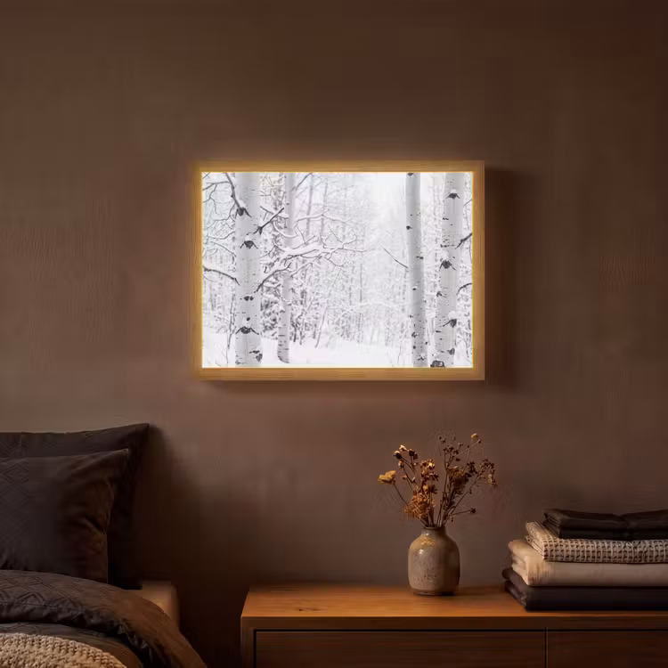 Lightbox - Wandlamp - Berkenbomen - Sneeuw - Winter - Bos - Wit — 3