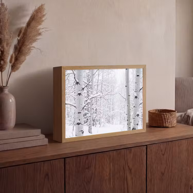 Lightbox - Wandlamp - Berkenbomen - Sneeuw - Winter - Bos - Wit — 4