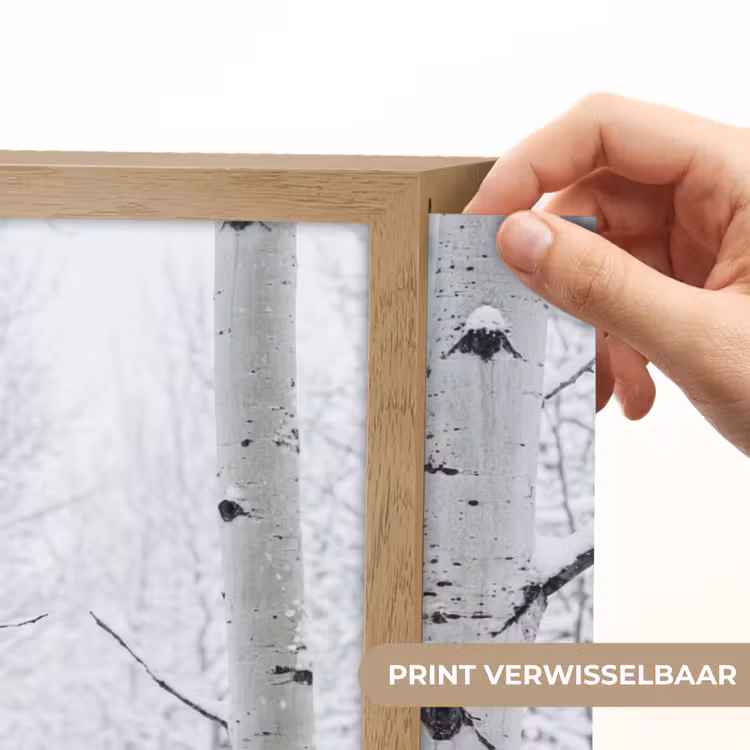Lightbox - Wandlamp - Berkenbomen - Sneeuw - Winter - Bos - Wit — 5