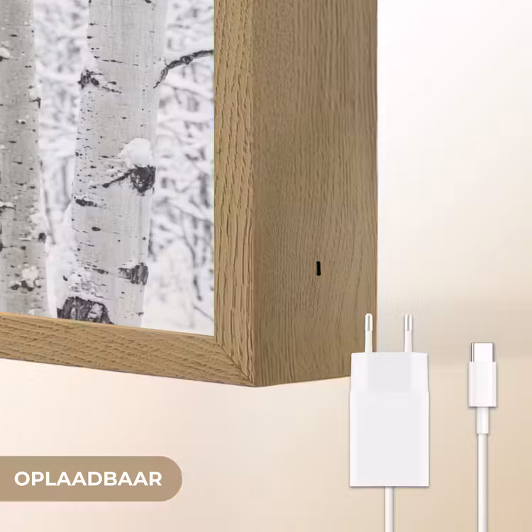 Lightbox - Wandlamp - Berkenbomen - Sneeuw - Winter - Bos - Wit — 7