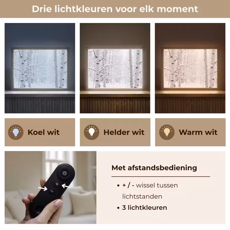 Lightbox - Wandlamp - Berkenbomen - Sneeuw - Winter - Bos - Wit — 8