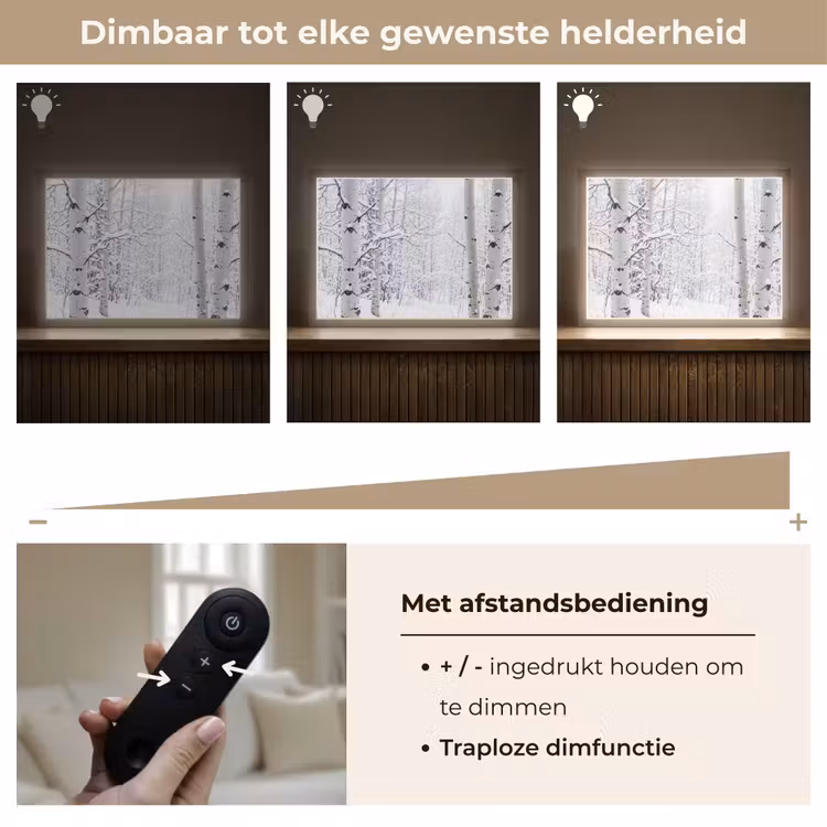 Lightbox - Wandlamp - Berkenbomen - Sneeuw - Winter - Bos - Wit — 9