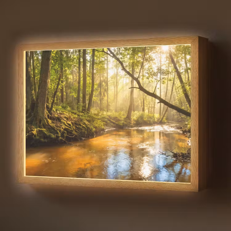 Lightbox - Wandlamp - Bos - Beek - Zonlicht - Natuur - Groen — 1