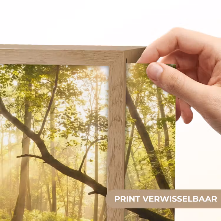 Lightbox - Wandlamp - Bos - Beek - Zonlicht - Natuur - Groen — 5