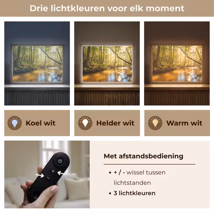 Lightbox - Wandlamp - Bos - Beek - Zonlicht - Natuur - Groen — 8