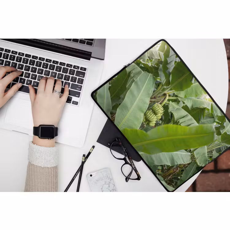 Laptophoes - Eten - Bananen - Plantage - Groen — 3