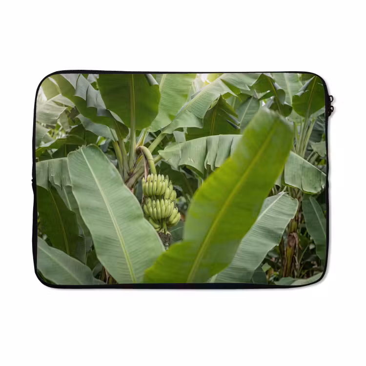 Laptophoes - Eten - Bananen - Plantage - Groen — 5