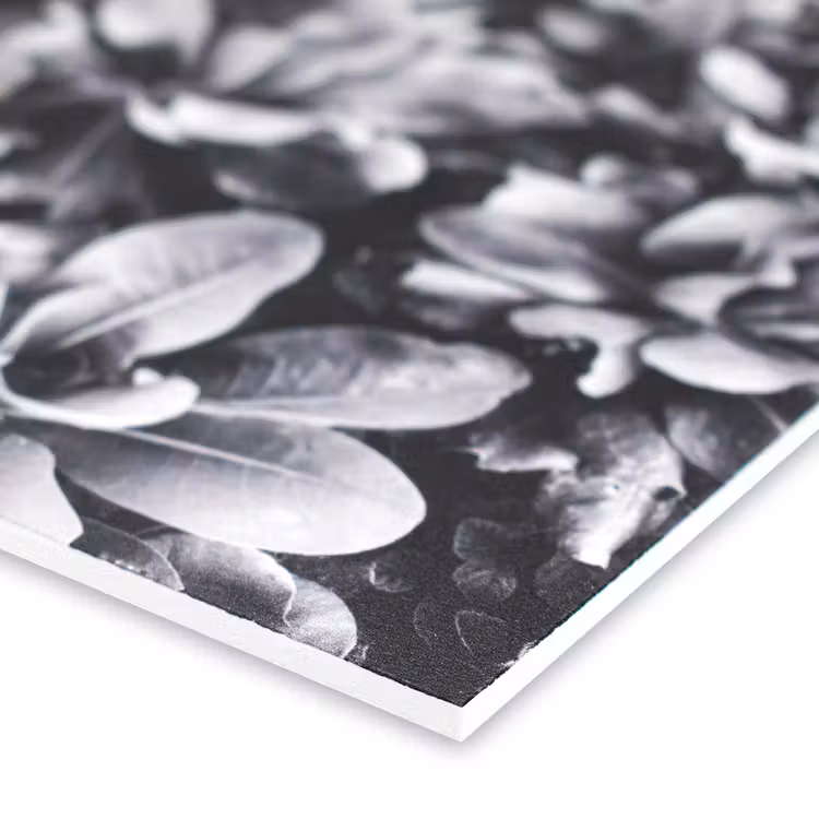 Squares — 3