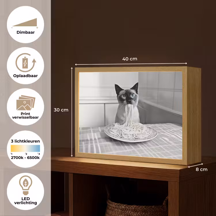 Lightbox - Wandlamp - Kat - Siamees - Zwart Wit - Schattig - Dieren — 10