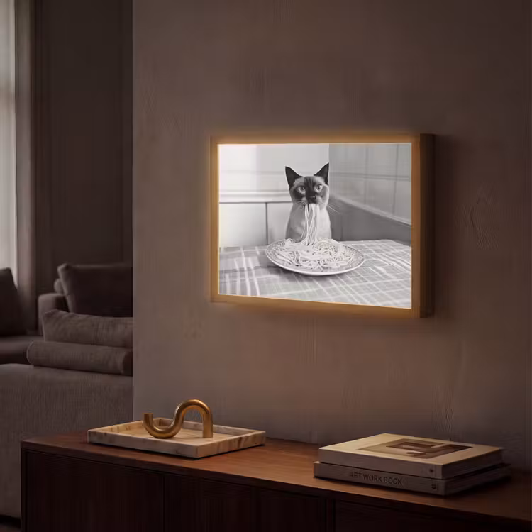 Lightbox - Wandlamp - Kat - Siamees - Zwart Wit - Schattig - Dieren — 2
