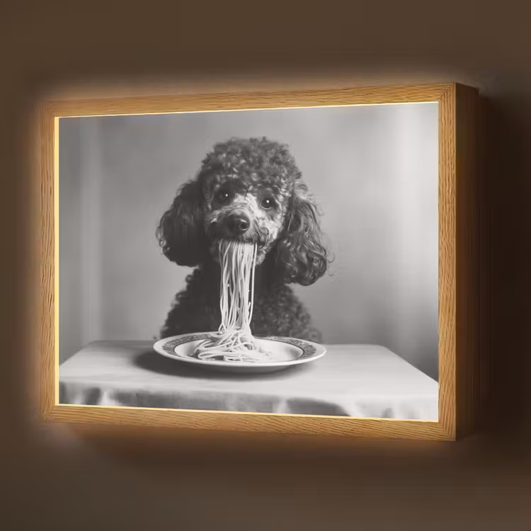 Lightbox - Wandlamp - Poedel - Hond - Zwart - Wit - Schattig - Pasta — 1