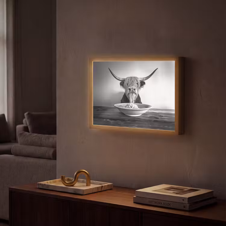 Lightbox - Wandlamp - Schotse Hooglander - Spaghetti - Dieren - Zwart wit — 2