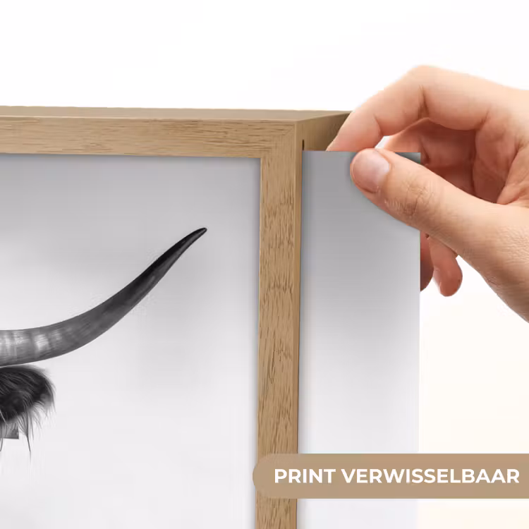 Lightbox - Wandlamp - Schotse Hooglander - Spaghetti - Dieren - Zwart wit — 5