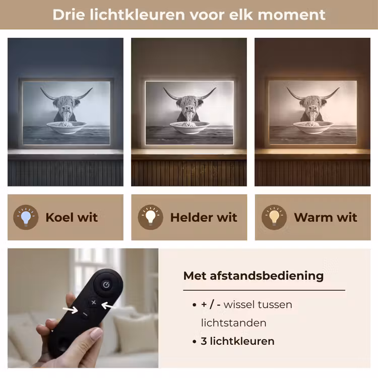 Lightbox - Wandlamp - Schotse Hooglander - Spaghetti - Dieren - Zwart wit — 8