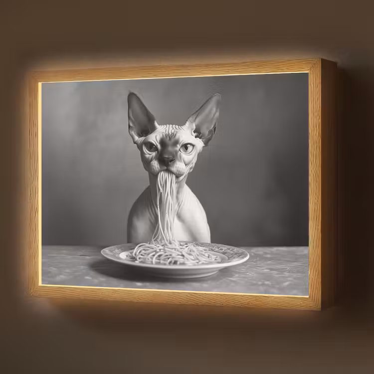Lightbox - Wandlamp - Sphynx - Kat - Dieren - Humor - Spaghetti - Zwart Wit — 1