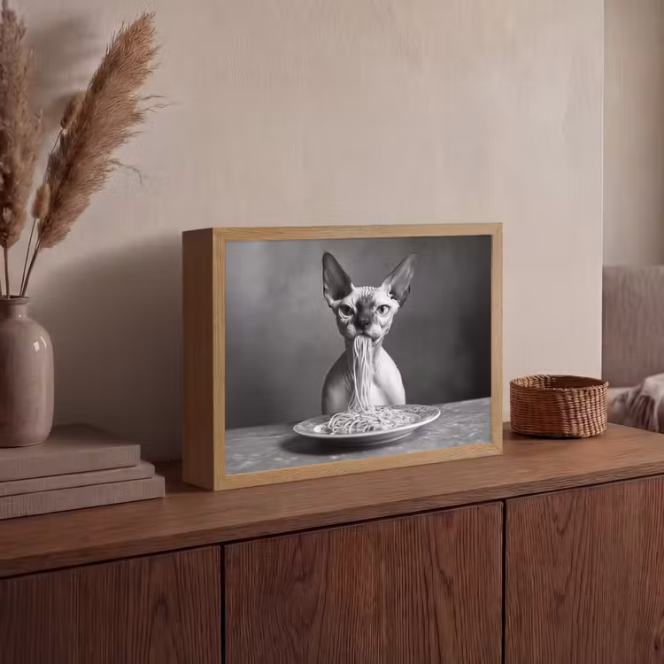 Lightbox - Wandlamp - Sphynx - Kat - Dieren - Humor - Spaghetti - Zwart Wit — 4