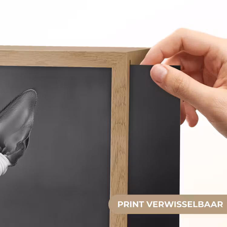 Lightbox - Wandlamp - Sphynx - Kat - Dieren - Humor - Spaghetti - Zwart Wit — 5