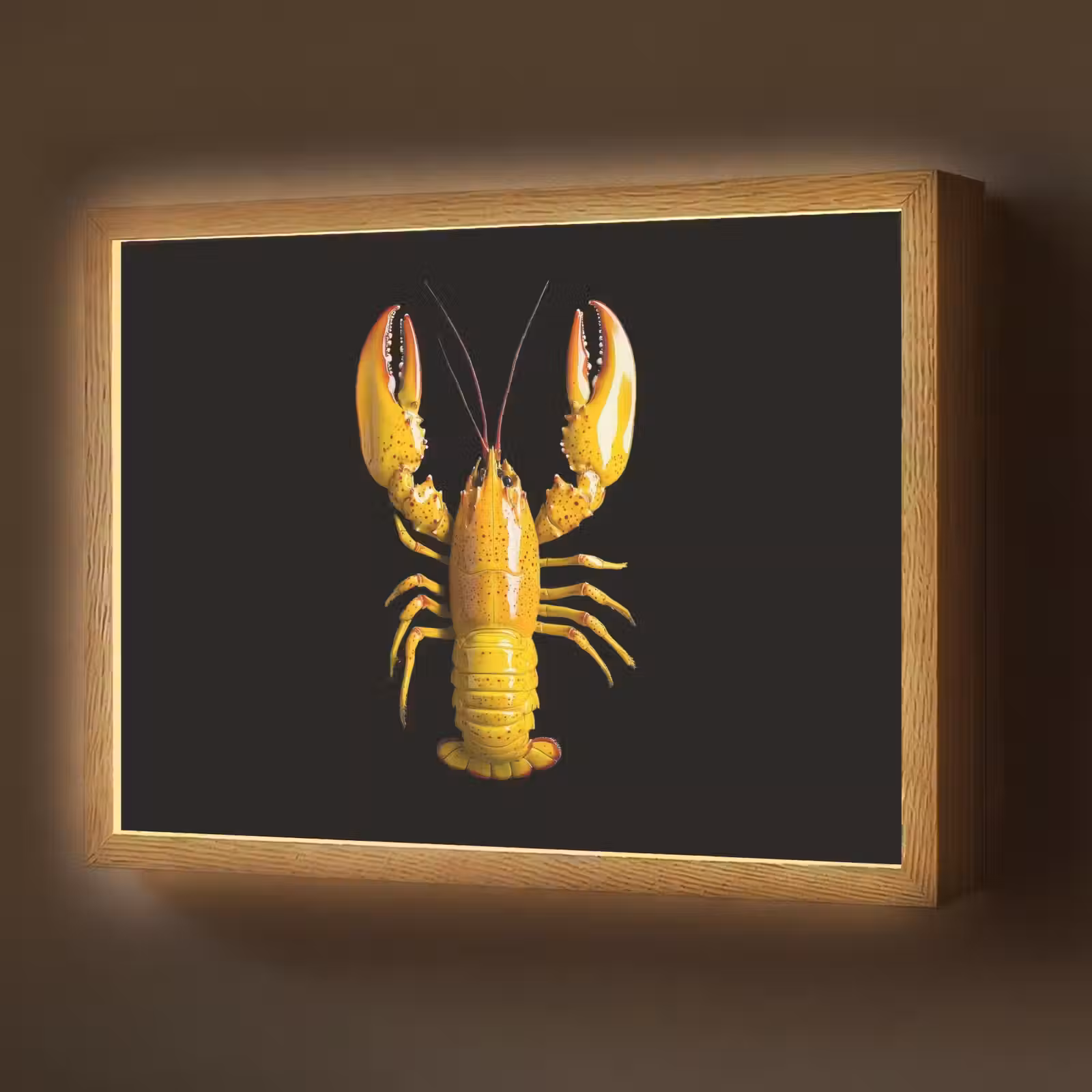 Lightbox - Wandlamp - Kreeft - Geel - Stippen - Effen — 1
