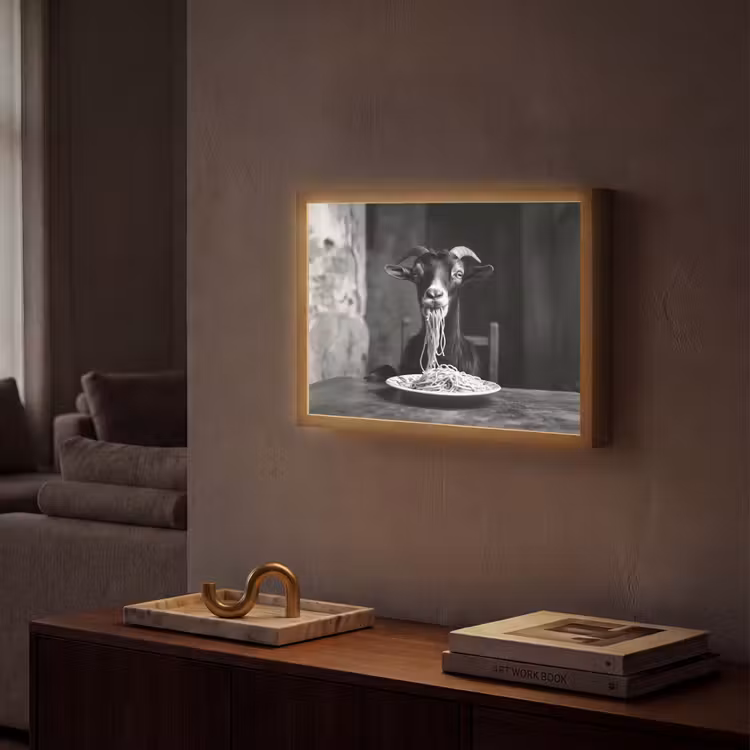 Lightbox - Wandlamp - Geit - Bord - Spaghetti - Zwart Wit — 2