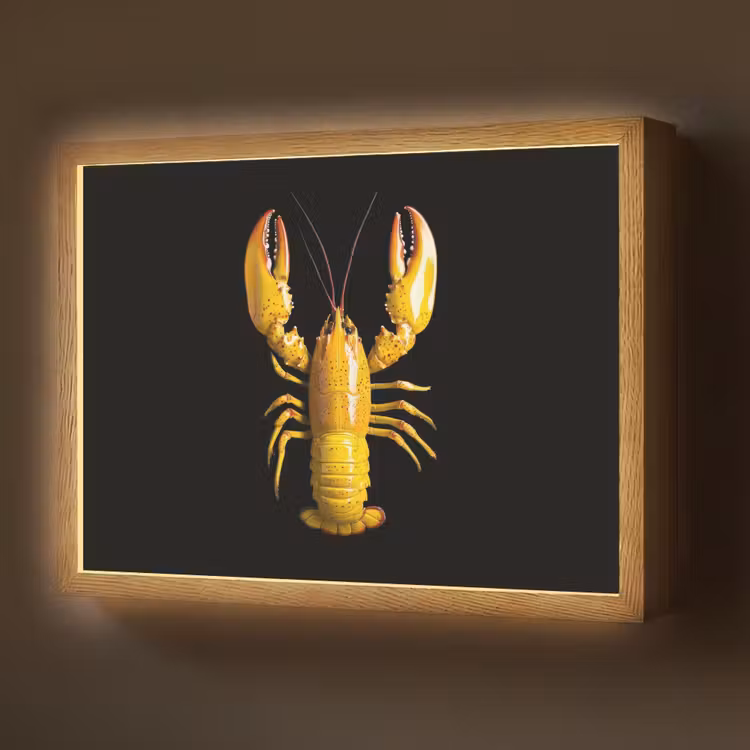 Lightbox - Wandlamp - Kreeft - Geel - Stippen - Effen — 1