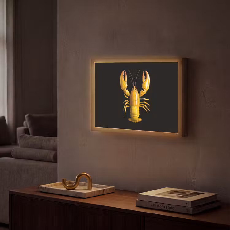 Lightbox - Wandlamp - Kreeft - Geel - Stippen - Effen — 2