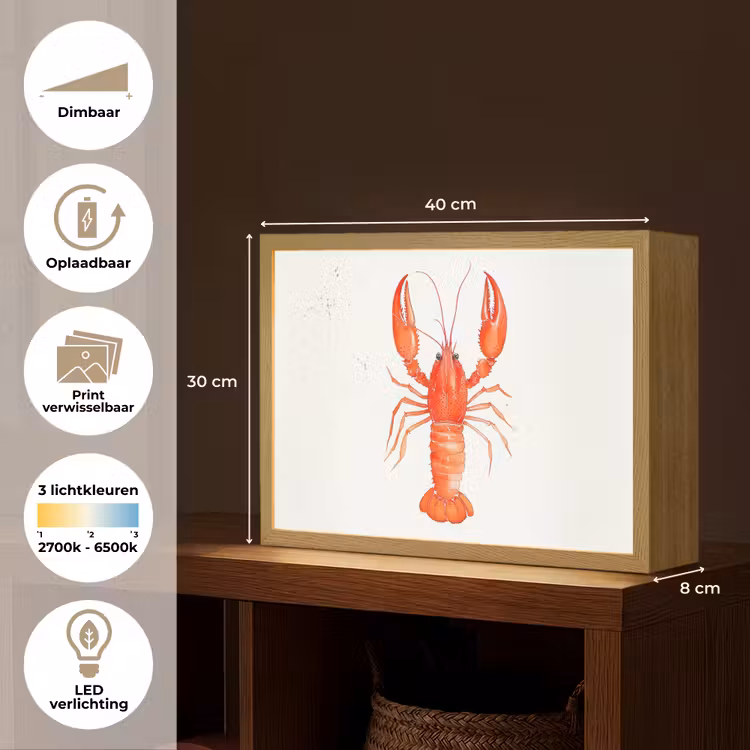 Lightbox - Wandlamp - Kreeft - Waterverf - Aquarel - Oranje — 10