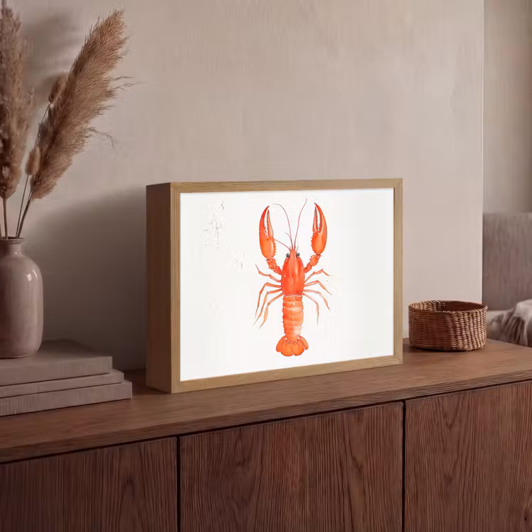 Lightbox - Wandlamp - Kreeft - Waterverf - Aquarel - Oranje — 4