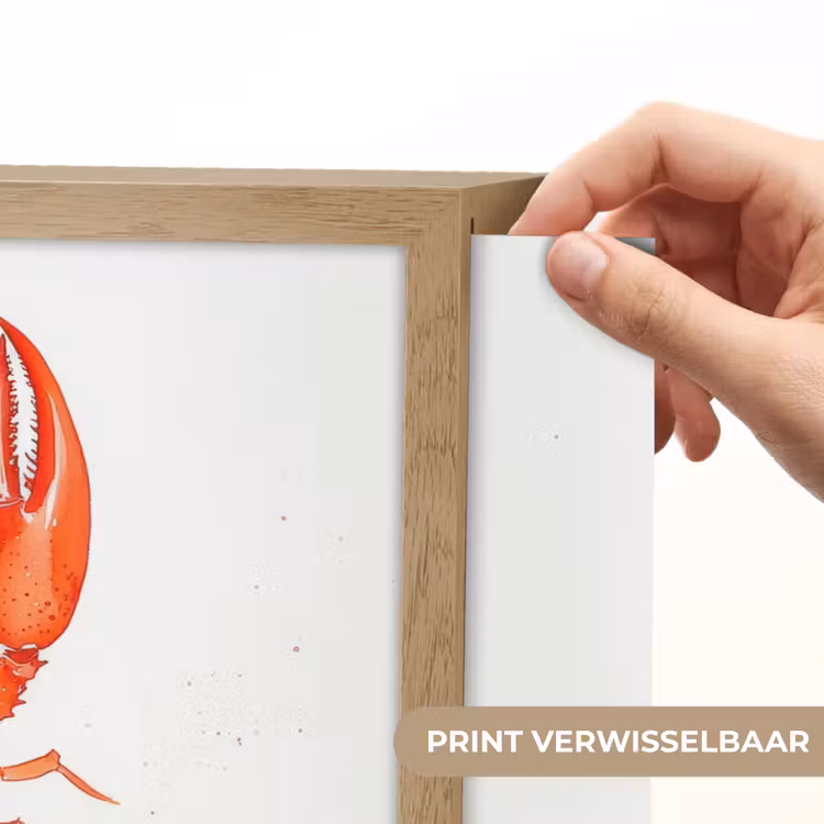 Lightbox - Wandlamp - Kreeft - Waterverf - Aquarel - Oranje — 5
