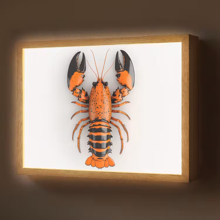 Lightbox - Wandlamp - Kreeft - Zwart - Oranje - Wit - Uniek — 1