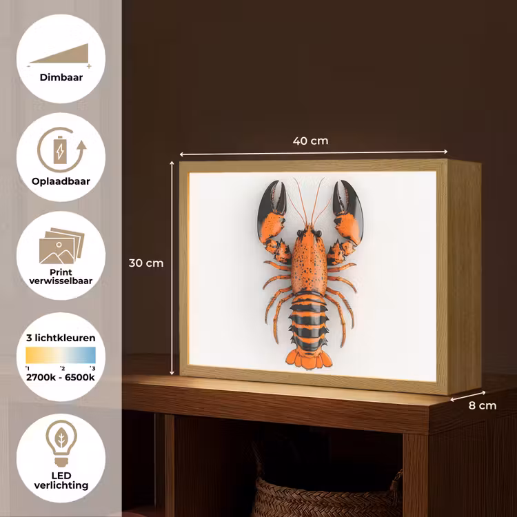 Lightbox - Wandlamp - Kreeft - Zwart - Oranje - Wit - Uniek — 10