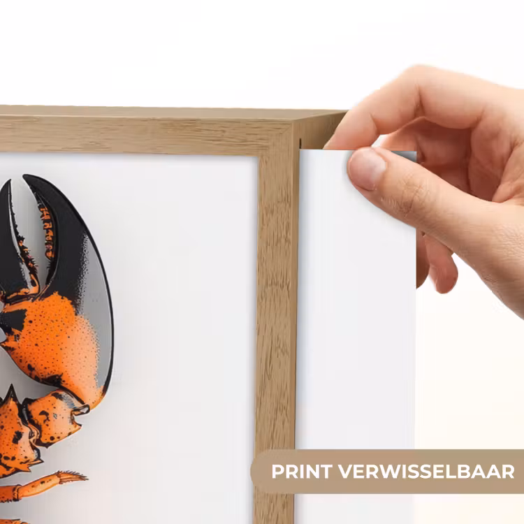 Lightbox - Wandlamp - Kreeft - Zwart - Oranje - Wit - Uniek — 5