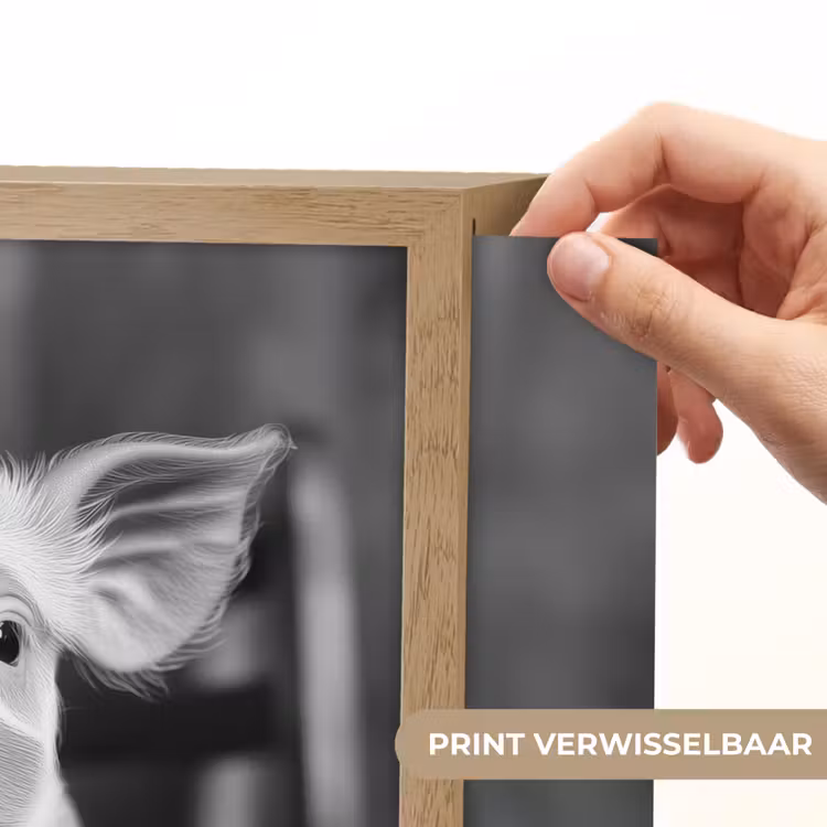 Lightbox - Wandlamp - Varken - Schattig - Spaghetti - Zwart wit - Dier — 5