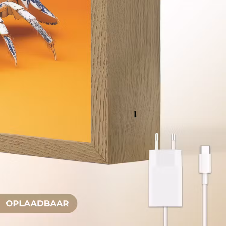 Lightbox - Wandlamp - Kreeft - Delftsblauw - Schild - Stoer - Oranje — 7