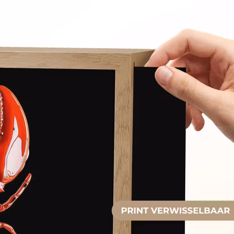 Lightbox - Wandlamp - Kreeft - Glossier Rood - Zwart — 5