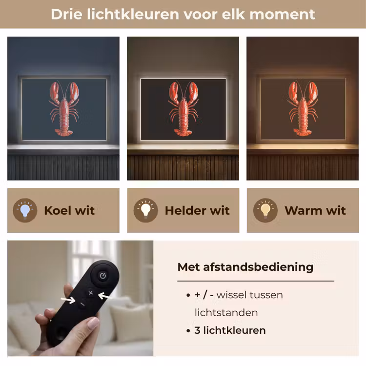 Lightbox - Wandlamp - Kreeft - Glossier Rood - Zwart — 8