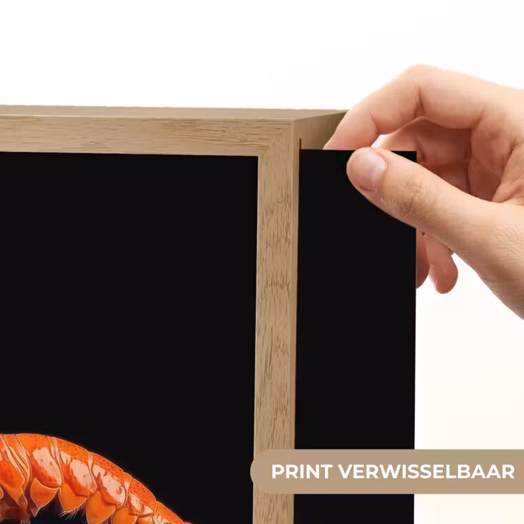 Lightbox - Wandlamp - Kreeft - Oranje - Zwart - Opvallend — 5