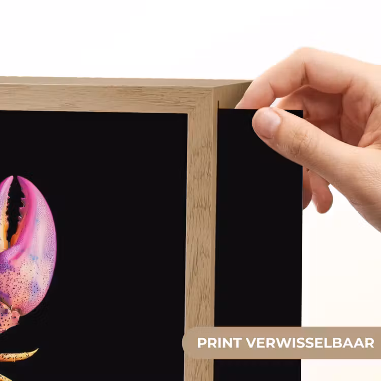 Lightbox - Wandlamp - Kreeft - Paars - Roze - Zwart - Stippen - Lila — 5