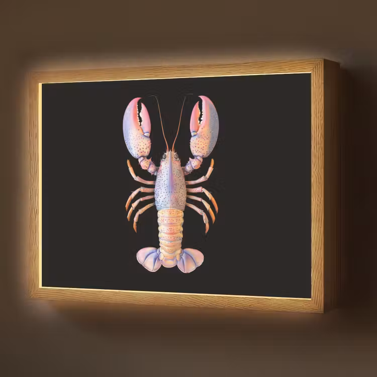 Lightbox - Wandlamp - Kreeft - Roze - Zacht - Zwart — 1