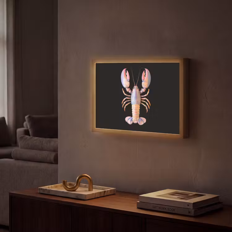 Lightbox - Wandlamp - Kreeft - Roze - Zacht - Zwart — 2